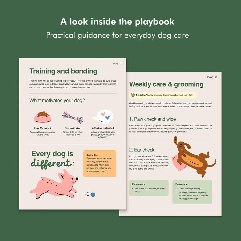 Inside pages of playbook test